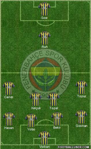 Fenerbahçe SK Formation 2013