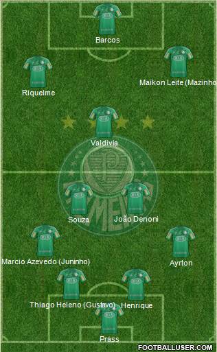 SE Palmeiras Formation 2013