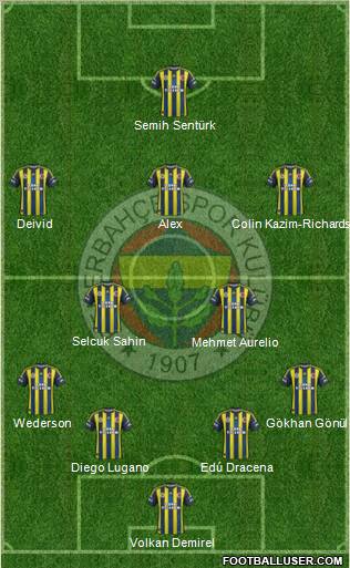 Fenerbahçe SK Formation 2013