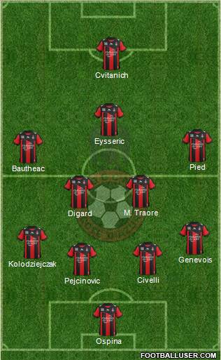 OGC Nice Côte d'Azur Formation 2013