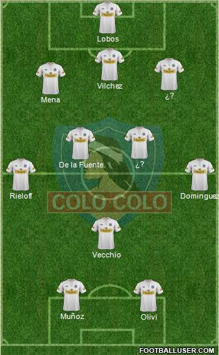 CSD Colo Colo Formation 2013