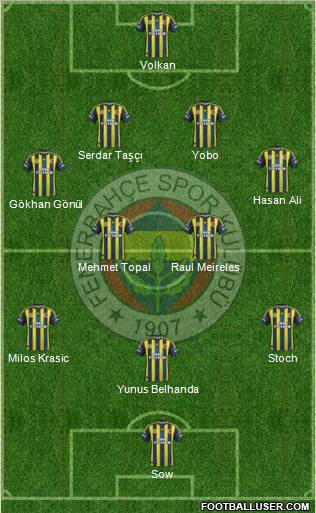 Fenerbahçe SK Formation 2013
