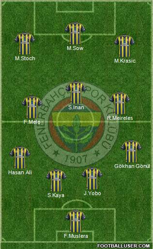 Fenerbahçe SK Formation 2013
