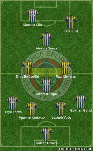 Fenerbahçe SK Formation 2013
