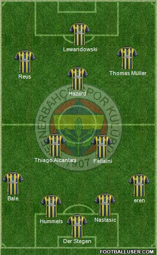 Fenerbahçe SK Formation 2013
