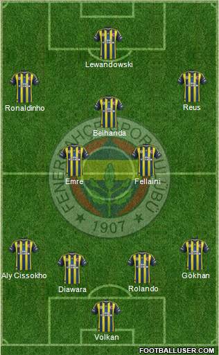 Fenerbahçe SK Formation 2013