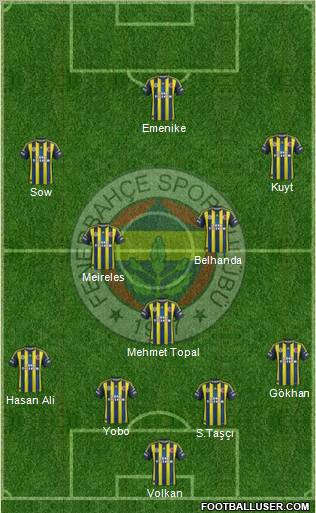 Fenerbahçe SK Formation 2013