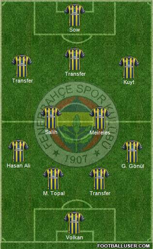 Fenerbahçe SK Formation 2013