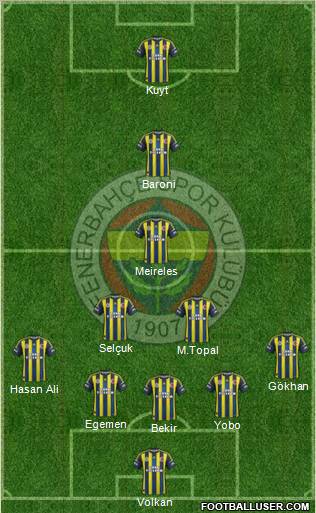 Fenerbahçe SK Formation 2013