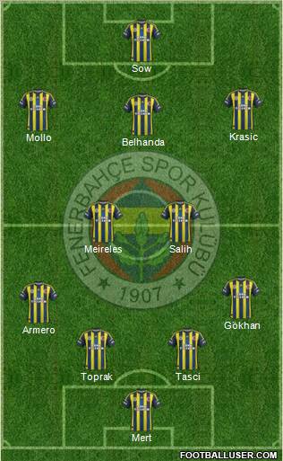 Fenerbahçe SK Formation 2013