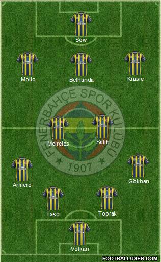 Fenerbahçe SK Formation 2013