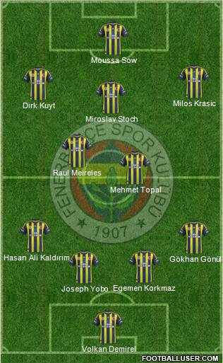 Fenerbahçe SK Formation 2013