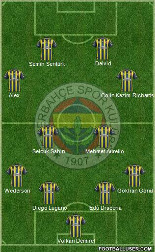 Fenerbahçe SK Formation 2013