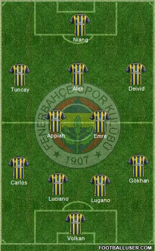 Fenerbahçe SK Formation 2013