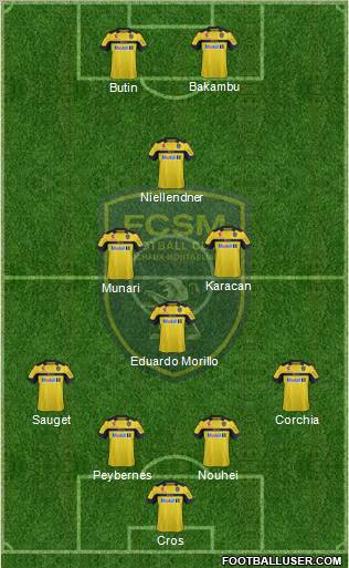 FC Sochaux-Montbéliard Formation 2013