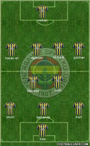 Fenerbahçe SK Formation 2013