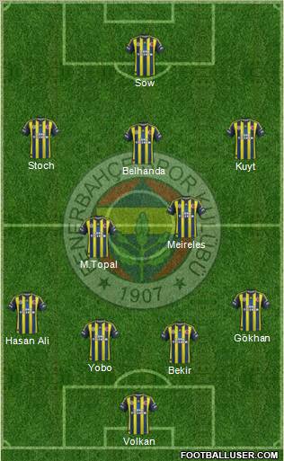 Fenerbahçe SK Formation 2013