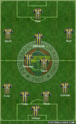 Fenerbahçe SK Formation 2013