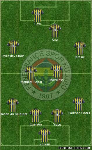 Fenerbahçe SK Formation 2013