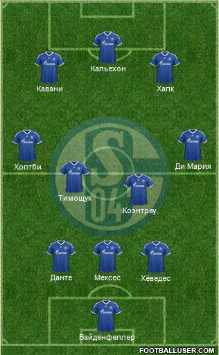 FC Schalke 04 Formation 2013