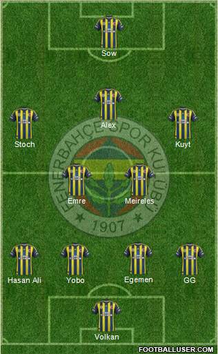 Fenerbahçe SK Formation 2013