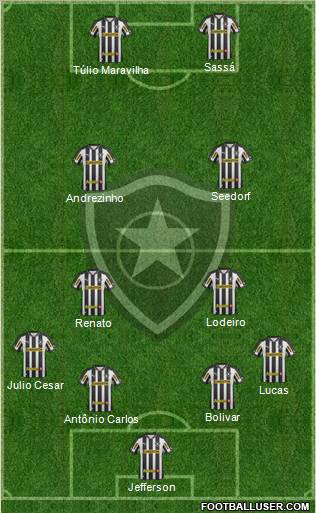 Botafogo FR Formation 2013