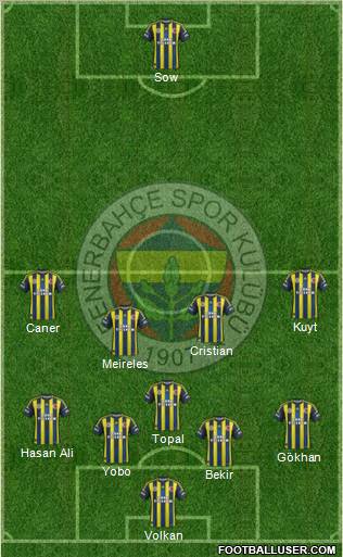 Fenerbahçe SK Formation 2013