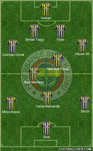 Fenerbahçe SK Formation 2013
