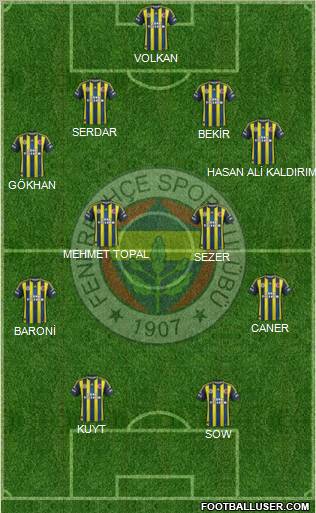 Fenerbahçe SK Formation 2013