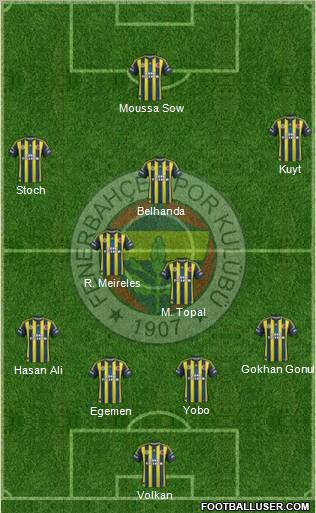 Fenerbahçe SK Formation 2013