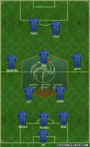 France Formation 2013