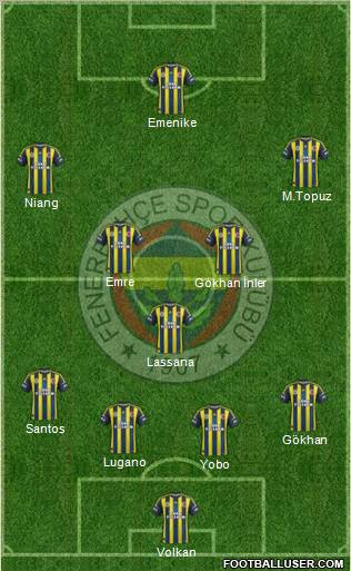 Fenerbahçe SK Formation 2013