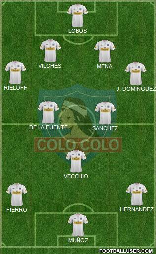 CSD Colo Colo Formation 2013