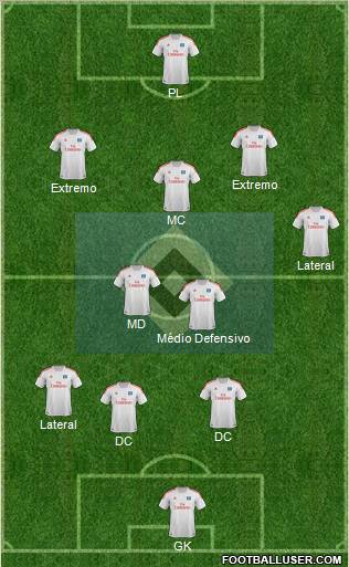Hamburger SV Formation 2013