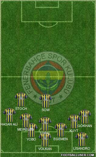 Fenerbahçe SK Formation 2013