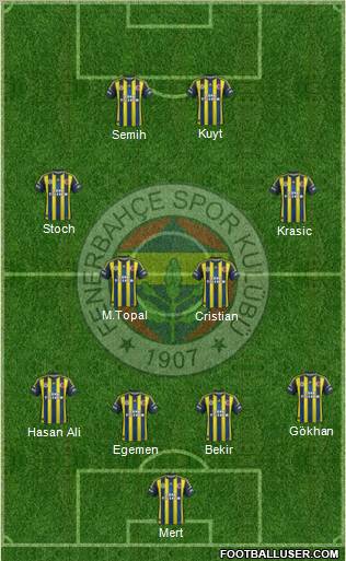 Fenerbahçe SK Formation 2013