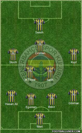 Fenerbahçe SK Formation 2013
