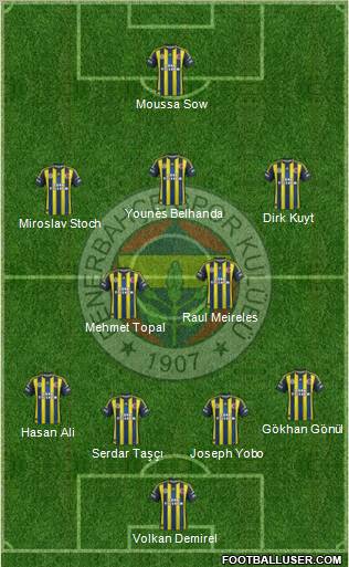 Fenerbahçe SK Formation 2013