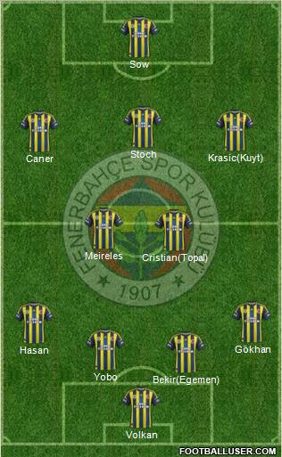 Fenerbahçe SK Formation 2013