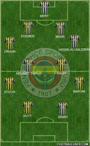 Fenerbahçe SK Formation 2013