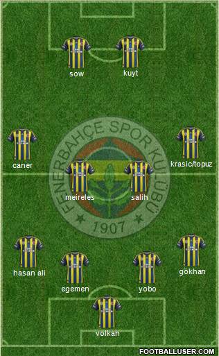 Fenerbahçe SK Formation 2013