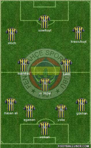 Fenerbahçe SK Formation 2013