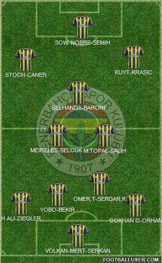 Fenerbahçe SK Formation 2013