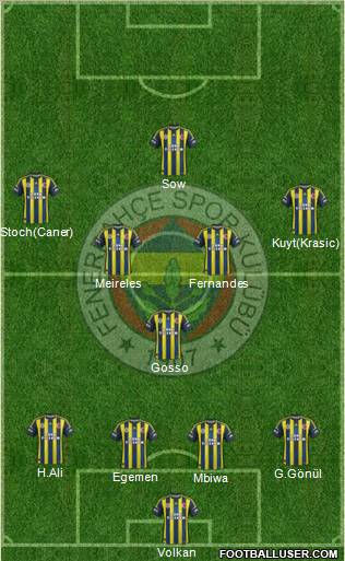 Fenerbahçe SK Formation 2013