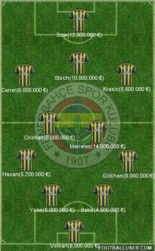 Fenerbahçe SK Formation 2013