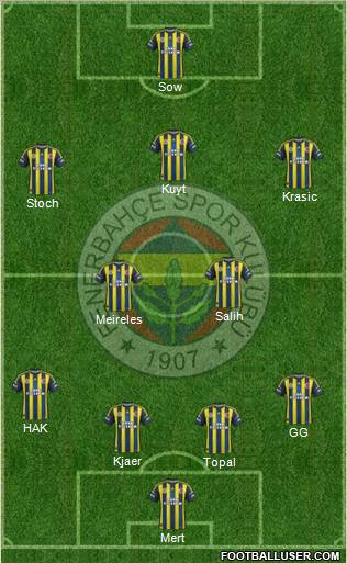 Fenerbahçe SK Formation 2013