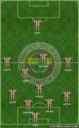Fenerbahçe SK Formation 2013
