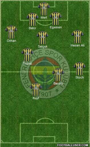 Fenerbahçe SK Formation 2013