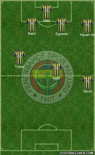 Fenerbahçe SK Formation 2013