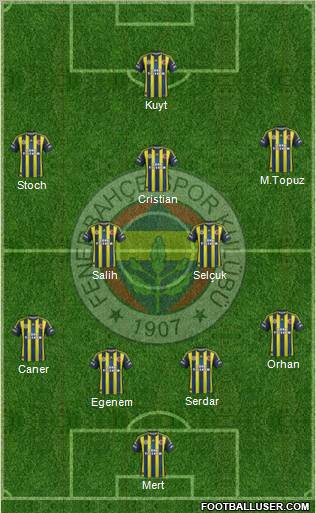 Fenerbahçe SK Formation 2013